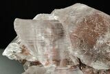 Glassy Selenite Crystal Cluster - Naica Mine, Mexico #372162-2